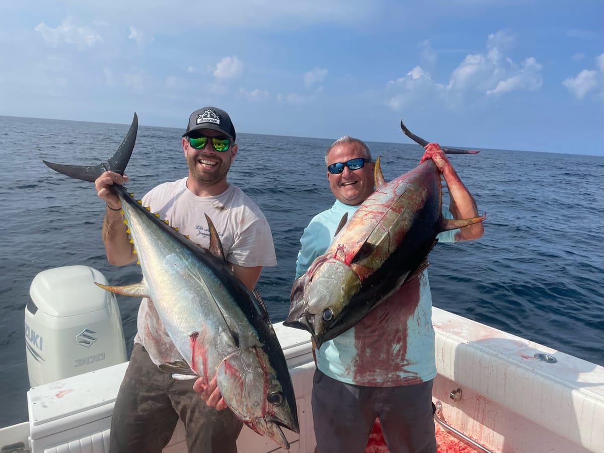 A Killer Yellowfin Topwater Bite